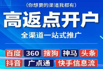 百度竞价策略解析：案例分析及优化建议